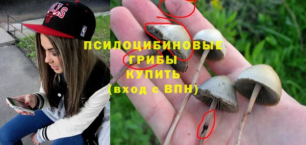 гашиш Бородино