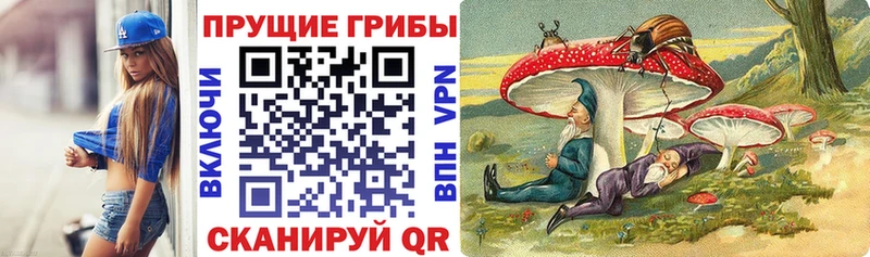 наркота  Новосибирск  Галлюциногенные грибы MAGIC MUSHROOMS 